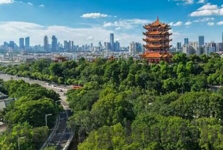 世界杯买埃及胜-世界杯买埃及胜，一场激情与策略的碰撞